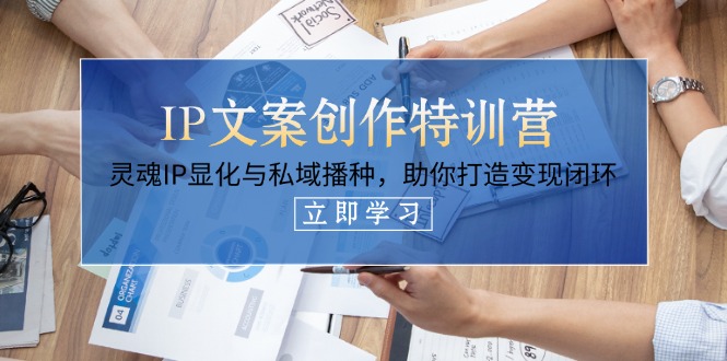 （14330期）IP文案创作特训营，灵魂IP显化与私域播种，助你打造变现闭环（14节课）-青年云网创—高质量项目商城