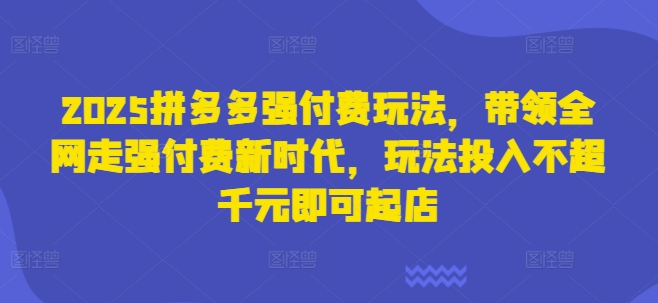 2025拼多多强付费玩法，带领全网走强付费新时代，玩法投入不超千元即可起店-青年云网创—高质量项目商城